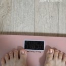 '2-1 - 포항시 북구 | 위고비 1mg 2주차후기, 위고비 2개월 내돈내산후기