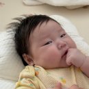 포니PC | 모윰 포니 치발기 추천 실사용 솔직후기(3개월 아기, 치발기 사용시기)