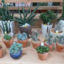 세븐일레븐(김해어방점) 이미지