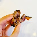 우다다(WOODADA) 이미지