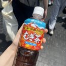 민주로1L 이미지