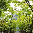 둔산북로90번길 이미지