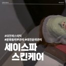 세이 케어 | 대전 문화동 피부관리｜세이스파스킨케어 세이케어 후기