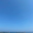 부산 기장 아나고 맛집 대명횟집 리얼 후기!