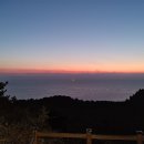 일출농산물유통 이미지