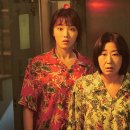 월계수인력시장 | 걸캅스 정보 및 후기, 믿고보는 배우 라미란의 첫 주연작