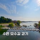 수원팔색길 모수길 | 수원 팔색길 모수길 걷기 광교산 팔달시장 서호천 코스 총정리