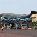 장생포고래박물관 이미지