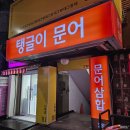 탱글이 문어 | 기본안주 무한리필으로 가성비 넘치는 안암역 술집 탱글이문어