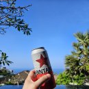 식스 밸런스(SIX BALANCE) | 발리 2인 5박 7일 경비 신혼여행 허니문 패키지 공유