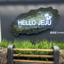 신나는대게파티 | 제주 럭셔리 호캉스 여행기: JW 메리어트 제주, 3월 제주 여행