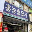 흥농종묘사 네이버블로그