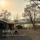 숲속에안뜰 | 용인 애견동반 캠핑장 추천, 벚꽃캠 (노스피크 A7 에어텐트)