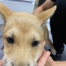 신흥로 190-1 이미지