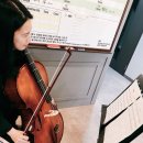 현악 앙상블(바이올린) 이미지