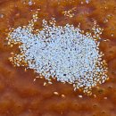 목우촌진미 이미지