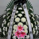 OK식물원 이미지