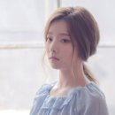 (주)도너츠컬처 헤럴드경제