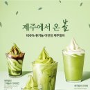 폴바셋천안구성DT점