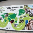 스카이라인루지부산 이미지