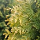 태림농원 이미지