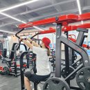 더 디짐 이미지