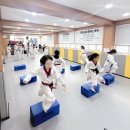 성원용인대태권도체육관 이미지