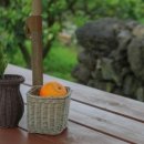 서쪽에서(귤이네) 이미지