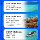 파다 | 스노쿨링, 다이빙 필수코스 ㅣ 한국어 가능 + 드론 촬영까지 가능한 파다 야비지 투어 예약 방법 및 후기