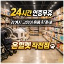 온힐펫 | 인천 작전동 반려동물용품점 " 온힐펫 작전점" 솔직 방문 후기 🐾