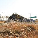 대상물산 한국건설신문사