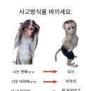와이마트 수완현진점 | 7월은 기사의 달 (우끼라고)