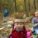 칠보초교 이미지