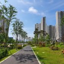 나무그늘의 작은집 작은세상 이미지