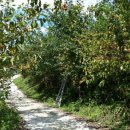 이학로농장 이미지