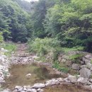 방곡토속식당 이미지