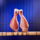 테리보더의 먹고+즐기고+ 사랑하라 | [수원] 무료전시회 | 테리보더의 벤트아트 체험-먹고,즐기고,사랑하라! 수원 AK갤러리