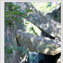 새터 마을회관 이미지