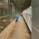 팔음농장 이미지