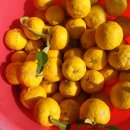 남해-275 이미지