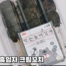 아인당 이미지
