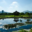 대곡마을 이미지