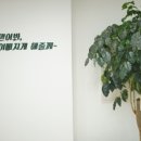 미더베스트마곡점 이미지