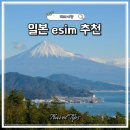 도깨비풀 | 일본 이심 추천 통화 가능 무제한 로밍도깨비 후기 시즈오카 이심 eSIM 여름 여행 필수템