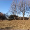 서리풀길 9 이미지