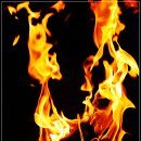 남경오토 이미지