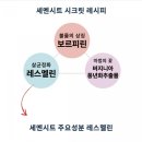 일진공구