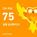홍연네일