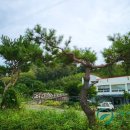 진등재 주유소 네이버블로그