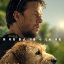 (주)누리픽쳐스 이미지